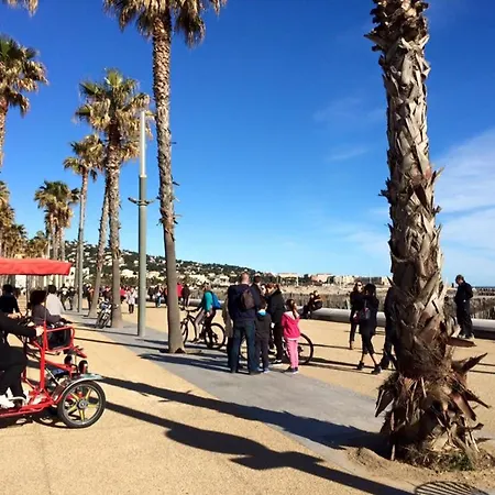 Lumineux Face Avec Separee, Parking Prive, A 30m De La - - Fr-1-338-527 Sète